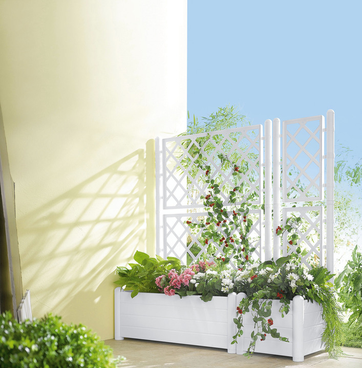 Blumentöpfe & Pflanzgefässe - Pflanzkasten mit Spalierwand, in Farbe WEISS, in Ausführung Pflanzkasten klein Ansicht 1