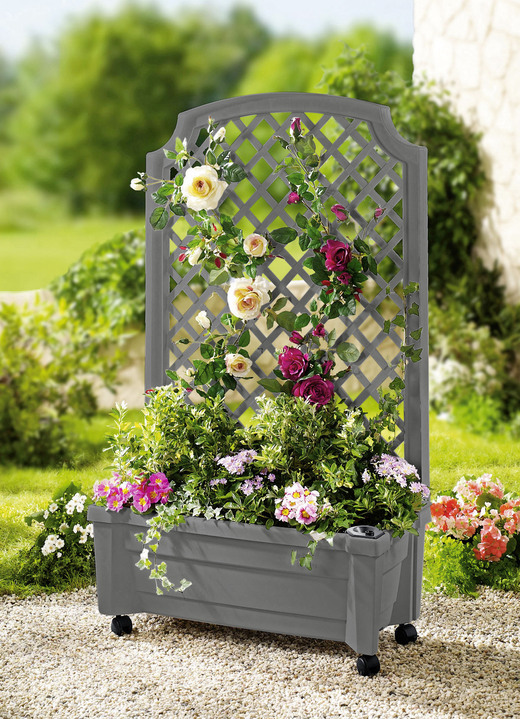 Blumentöpfe & Pflanzgefässe - Roll-Pflanzkasten mit Spalier, in Farbe GRAU Ansicht 1