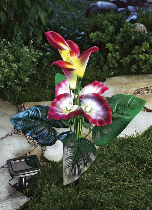 Gartenbeleuchtung - Solarlampe Calla, in Farbe BUNT