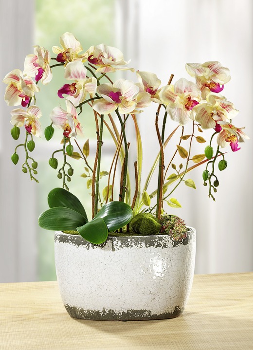 Kunst- & Textilpflanzen - Orchidee im Keramiktopf, in Farbe