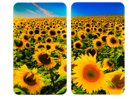 Herdabdeckplatten Sonnenblumen, 2er-Set