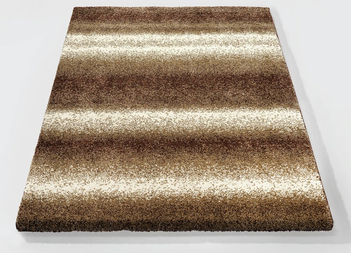 Modern - Kuschelig-weiche Brücken und Teppiche, in Größe 282 (Teppich, 200x290 cm) bis 287 (Teppich, 240x320 cm), in Farbe BRAUN Ansicht 1