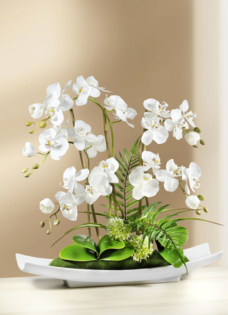 Orchideen-Gesteck in Schale