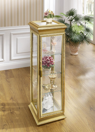 Vitrine aus Glas und massivem Holz