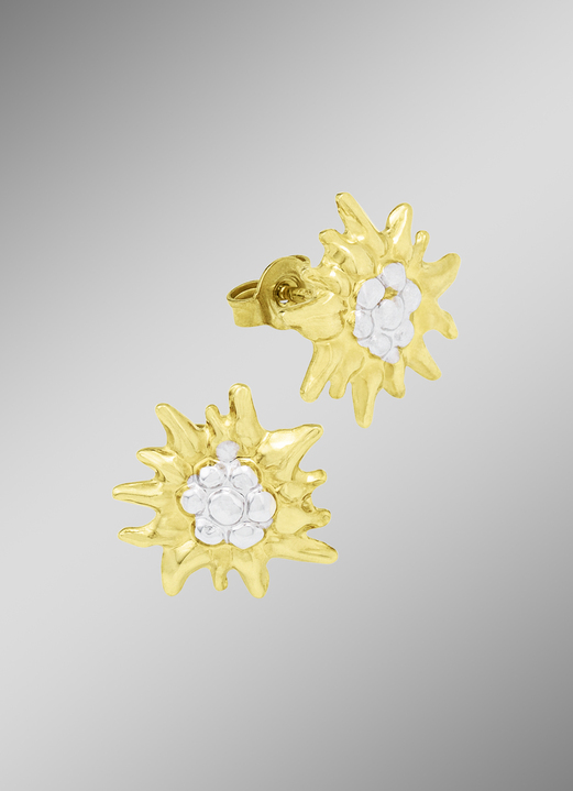 - Edelweiss-Ohrstecker in Bicolor, in Farbe  Ansicht 1