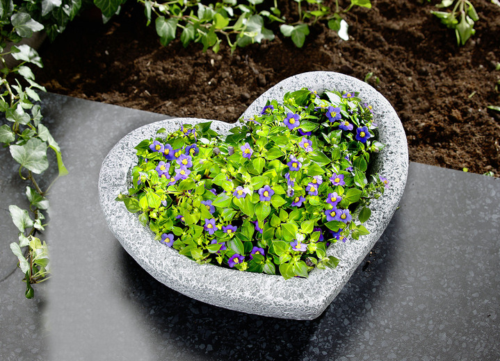 Blumentöpfe & Pflanzgefässe - Herz-Pflanzschale aus wetterfestem Polyresin, in Farbe GRAU