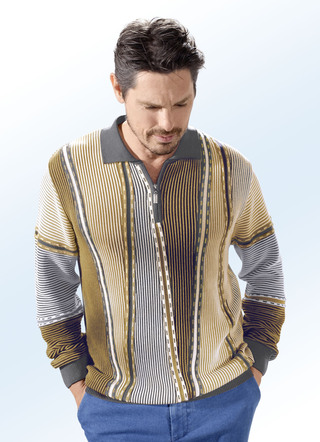 Polopullover in 2 Farben