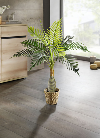 Palme im Topf