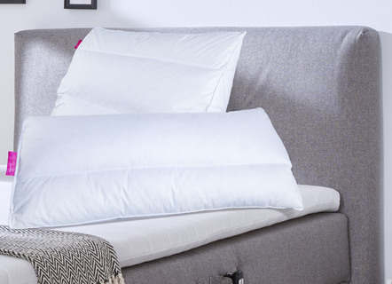 Body Perfect Modern Line Kissen von Häussling