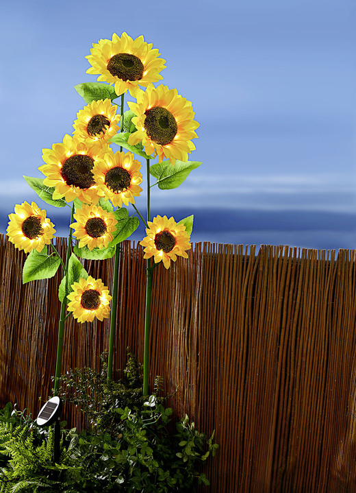Gartenbeleuchtung - XXL-Solar-Sonnenblumen, in Farbe GELB-GRÜN-BRAUN