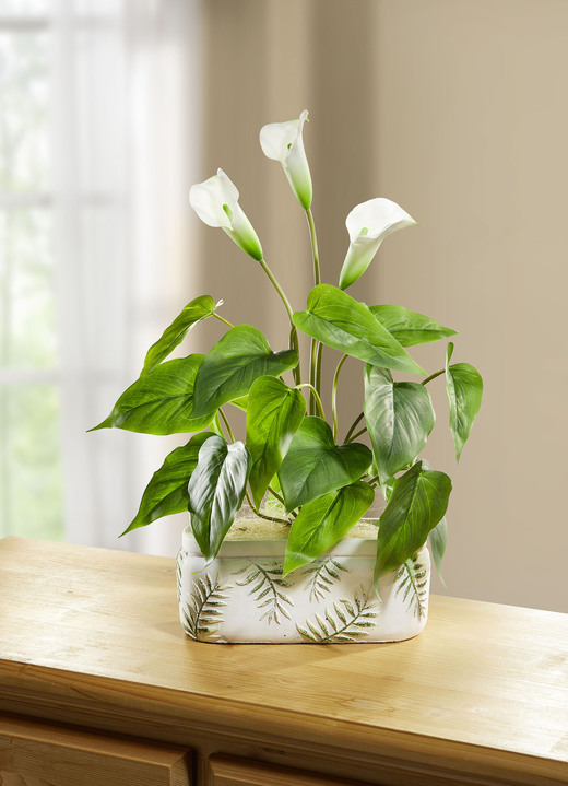 - Calla-Gesteck im Keramiktopf, in Farbe GRÜN-WEISS