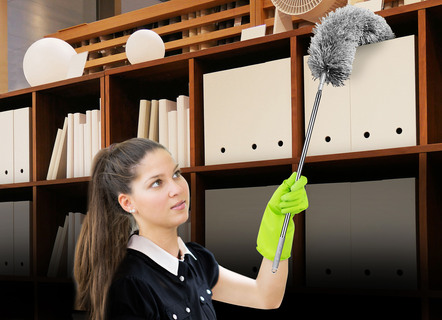 Teleskop-Staubwedel-Set, 6-teilig, von Clever Clean