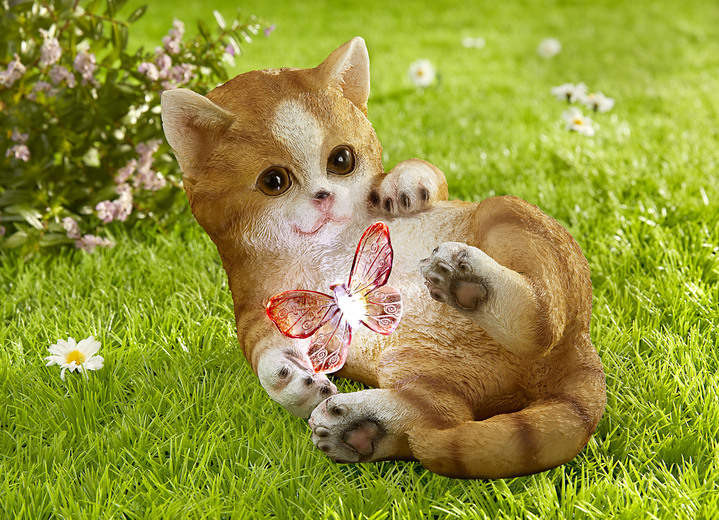 - Kätzchen mit Solar-Schmetterling, in Farbe BRAUN-WEISS