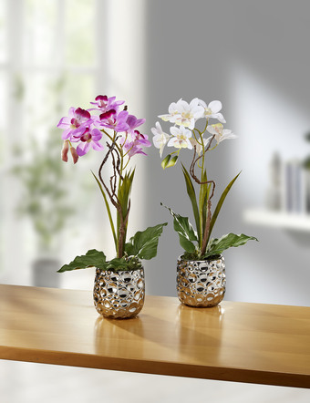 Orchideen-Gesteck im Keramiktopf