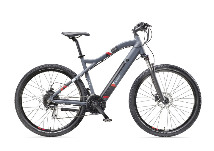 Akku-Zweiräder - Mountain-E-Bike mit leistungsstarkem 250-Watt-Hinterradmotor, in Farbe GRAU Ansicht 1