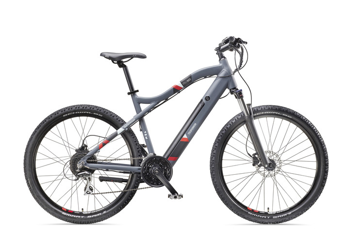 250 watt cheap e bike