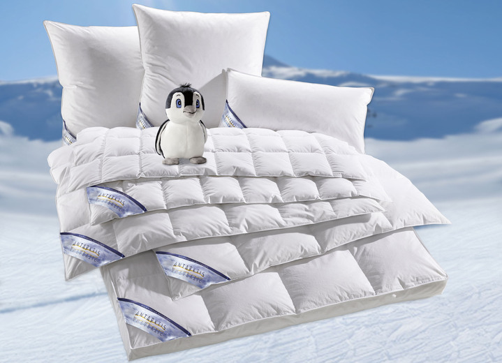 Bettwaren - Daunenprogramm Antarktis von Spessarttraum, in Größe 103 (Decke, 135/200 cm) bis 414 (Sparset, 4-teilig, mit gratis Kuschel-Pinguin), in Farbe WEISS, in Ausführung Extra leicht