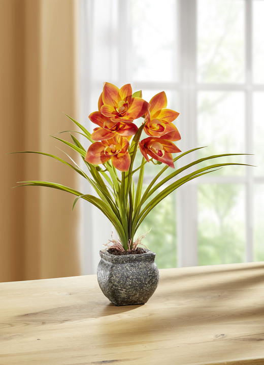 Kunst- & Textilpflanzen - Cymbidium-Orchidee im Zementtopf, in Farbe ORANGE Ansicht 1