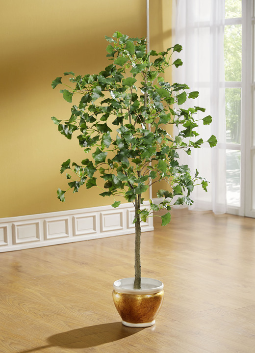 Kunst- & Textilpflanzen - Gingko-Baum im schwarzen Topf, in Farbe GRÜN, in Ausführung klein