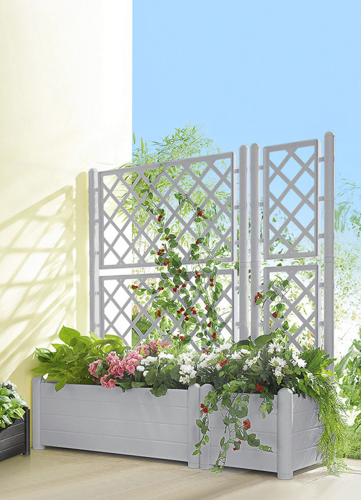 Blumentöpfe & Pflanzgefässe - Pflanzkasten mit Spalierwand, in Farbe STEINGRAU, in Ausführung Pflanzkasten klein Ansicht 1