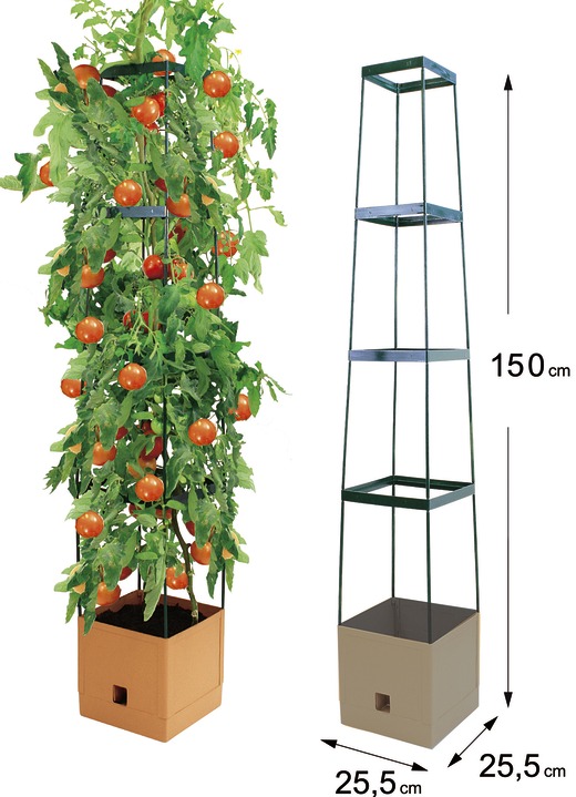 Blumentöpfe & Pflanzgefässe - MAXITOM Tomaten-Rankhilfe Komplett-Set , in Farbe TERRA Ansicht 1