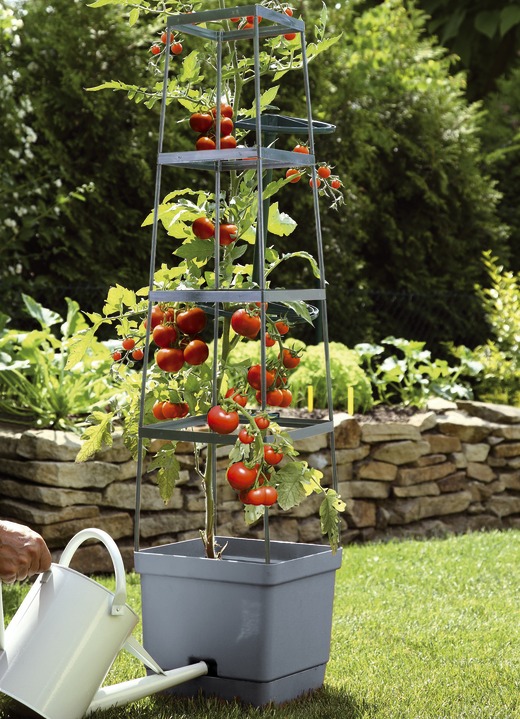 Blumentöpfe & Pflanzgefässe - MAXITOM Tomaten-Rankhilfe Komplett-Set, in Farbe ANTHRAZIT Ansicht 1