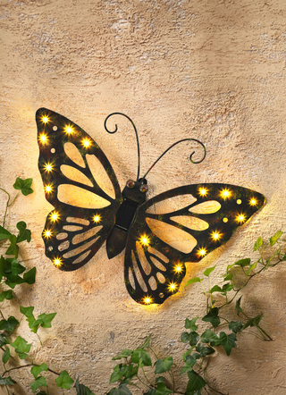 Wandbild «Solar-Schmetterling»