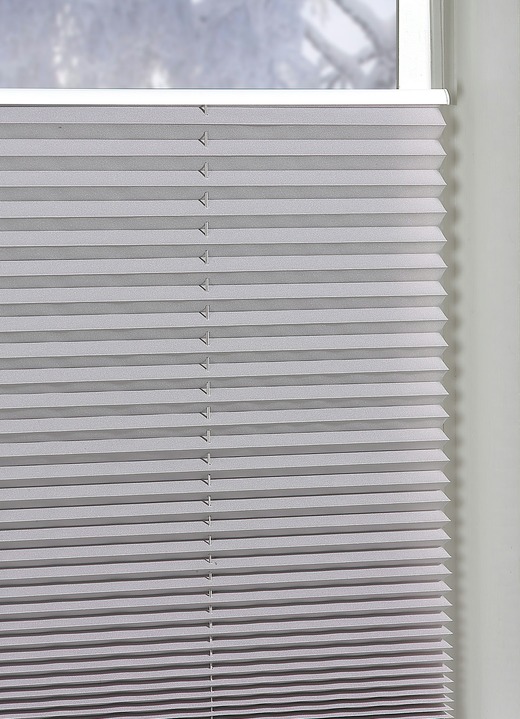 Rollos - Plissee-Rollos für Montage am Fensterrahmen ohne Bohren, in Größe 826 (H130xB 40 cm) bis 850 (H210xB 70 cm), in Farbe SILBER Ansicht 1