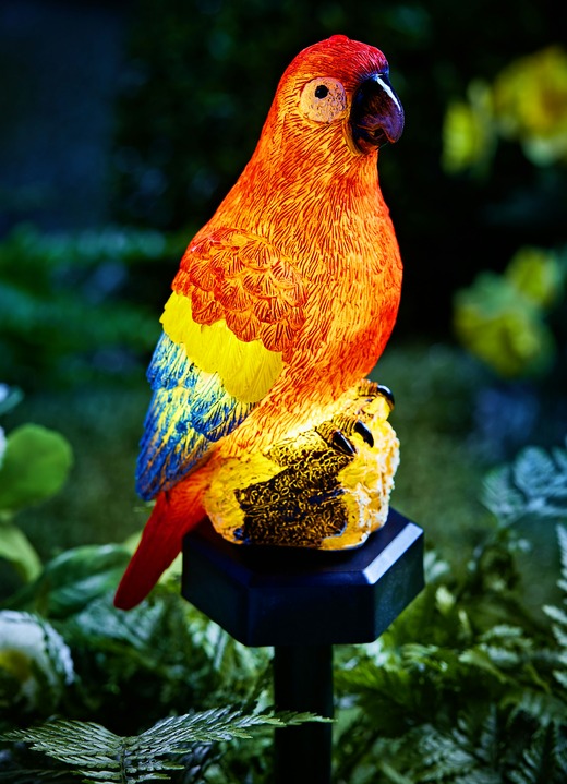 Leuchtende Dekoration - Solar-Papagei mit Erdspiess, in Farbe BUNT