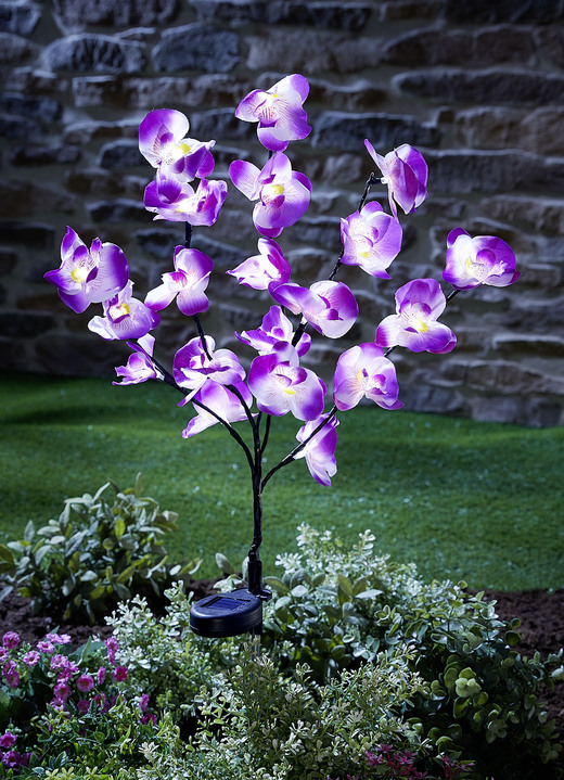Leuchtende Dekoration - Solar-Orchidee, in Farbe LILA-WEIß