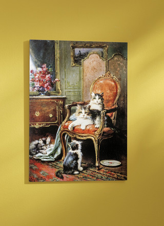 Bild mit zwei sitzenden Katzen