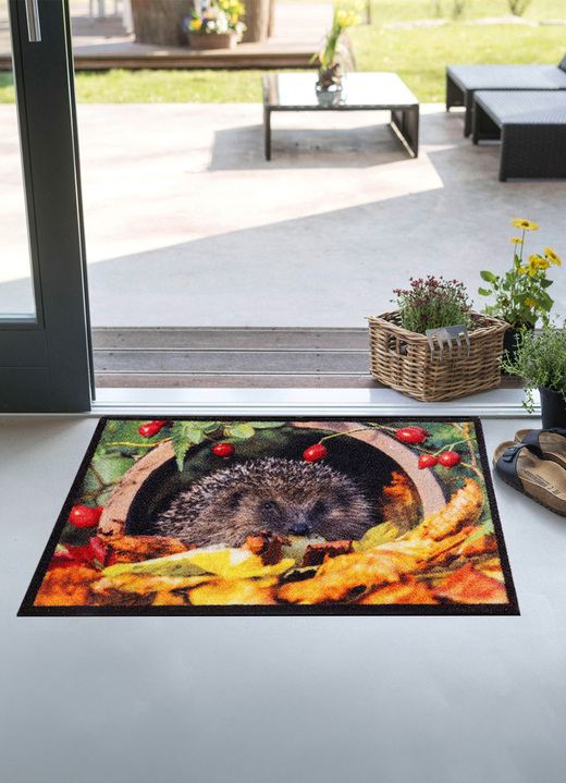Fussmatten - Fussmatte mit Igel-Motiv, in Farbe BUNT Ansicht 1
