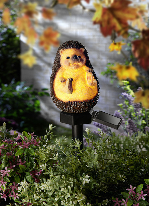Gartenbeleuchtung - Solarleuchte mit warmweisser LED-Beleuchtung, in Farbe BUNT