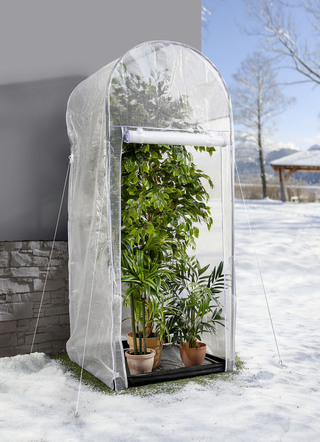 Frost-Schutzhaus Palm Protect
