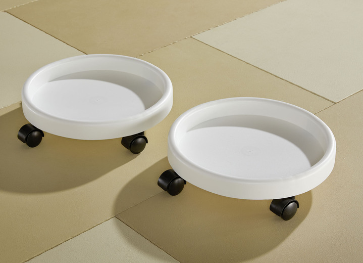 - Pflanzenroller, 2er-Set, auf stabilen Rollen, in Farbe WEISS