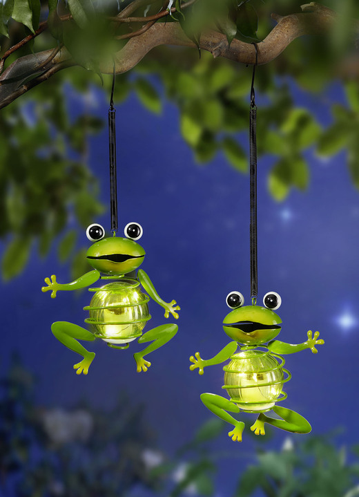 - Solarhänger Frosch, 2er-Set, in Farbe GRÜN