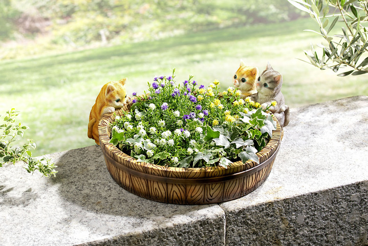 Blumentöpfe & Pflanzgefässe - Pflanzschale «Kätzchen», in Farbe BUNT Ansicht 1