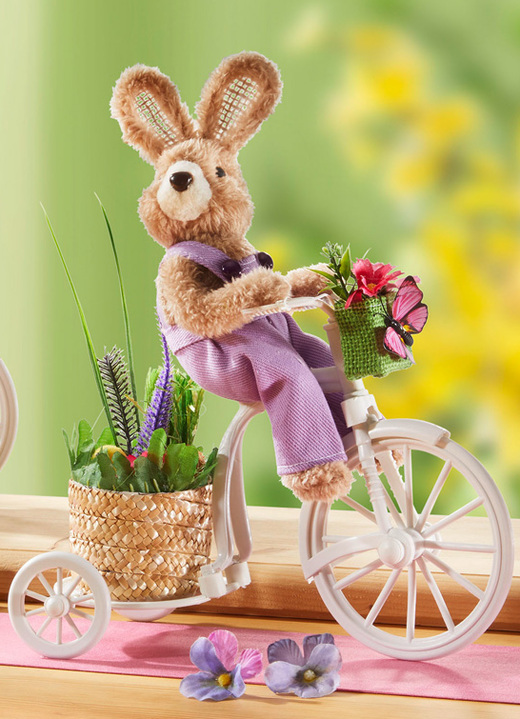 - Hase auf Fahrrad, in Farbe BUNT, in Ausführung Hase mit lilafarbener Latzhose Ansicht 1