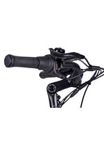 E-Bike Comfort Plus 5.0 von Saxonette 