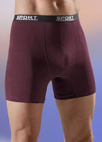 Viererpack Pants mit Elastikbund 