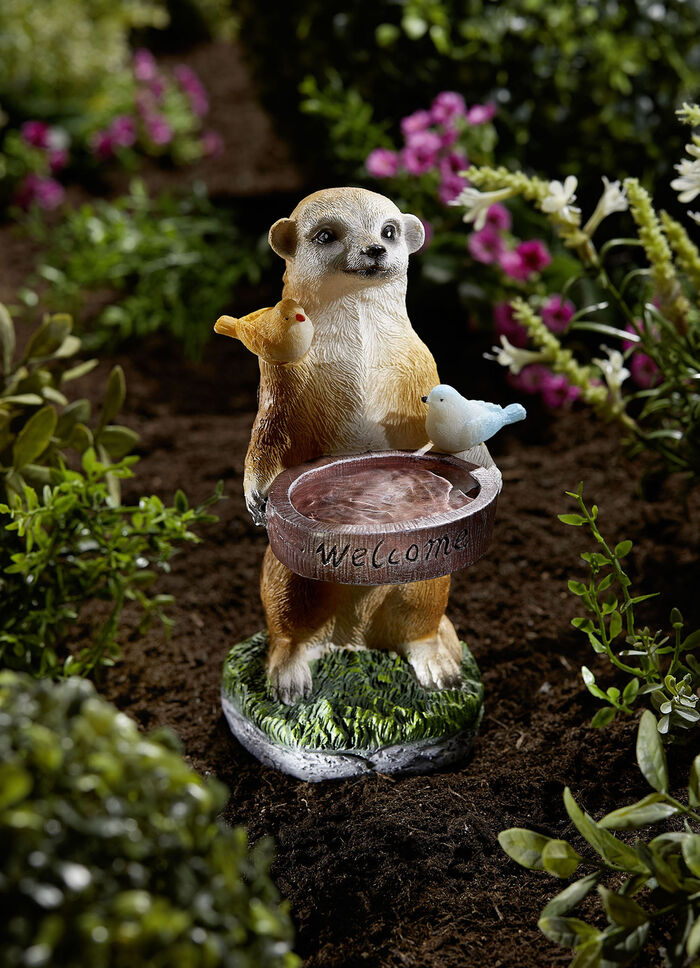 Solarbetriebene Vogeltränke 