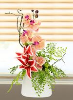 Bezauberndes Orchideen-Gesteck in Vase 