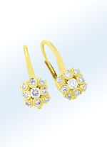 Edle Ohrringe mit Brillanten 