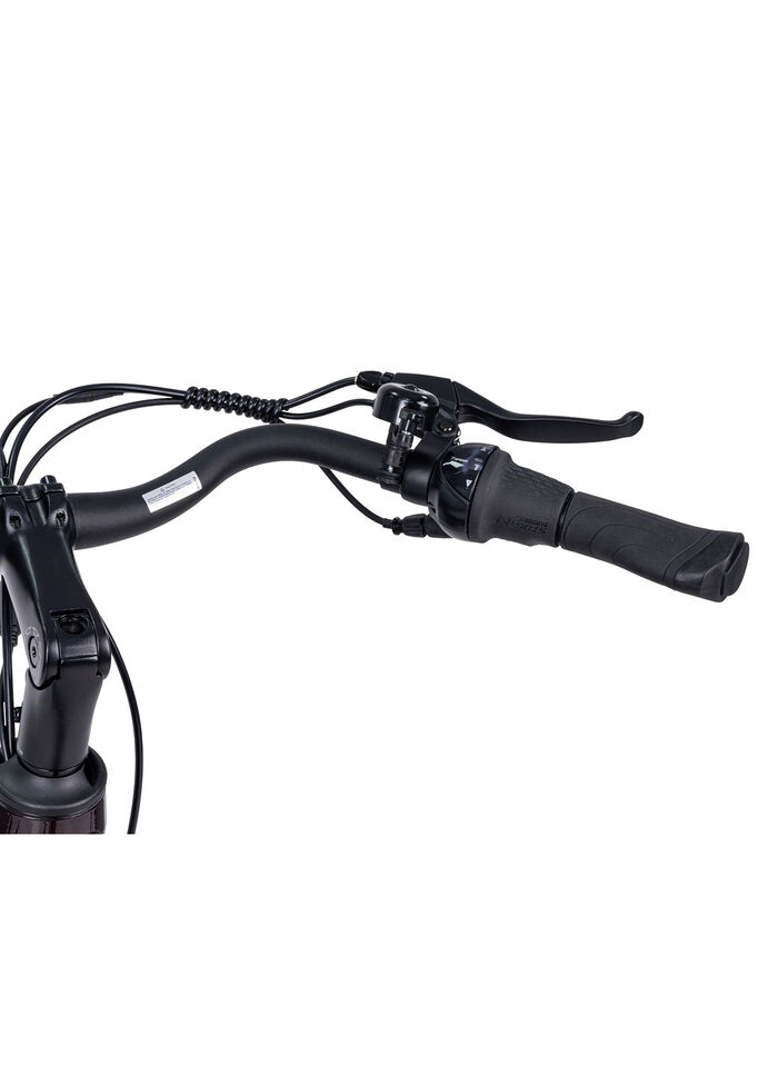 E-Bike Comfort Plus 5.0 von Saxonette 