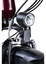 E-Bike Comfort Plus 5.0 von Saxonette 