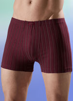 Viererpack Pants mit Streifendessin 