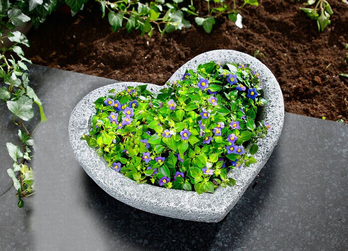 Herz-Pflanzschale aus wetterfestem Polyresin 