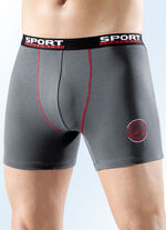 Viererpack Pants, uni mit Druckmotiv 