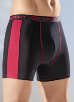Viererpack Pants mit Elastikbund 