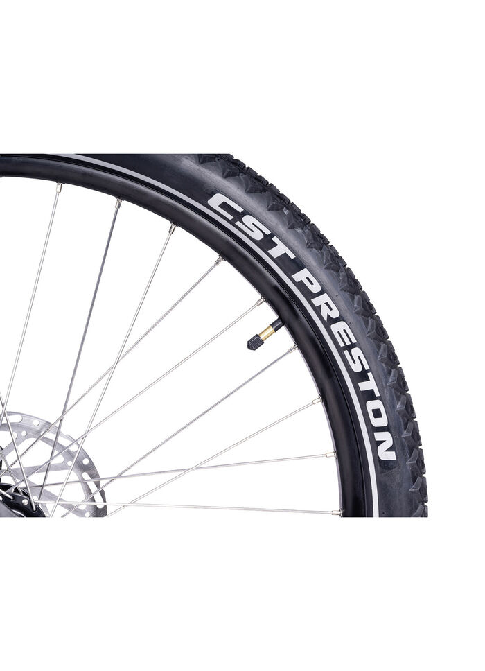 E-Bike Deluxe SUV Easy BURGUND-GLANZ